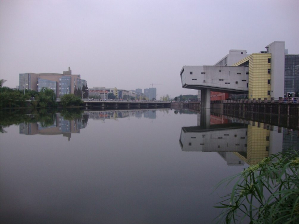 Какой чай и сколько надо пить, чтобы замедлить старение Какой чай и сколько надо пить, чтобы замедлить старение