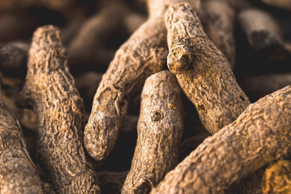 Противостоит ожирению, старости, онкологии и депрессии: ученые нашли уникальное лекарство на кухне миллионов россиян