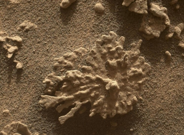 Марсоход Curiosity обнаружил камень, напоминающий коралл Марсоход Curiosity обнаружил камень, напоминающий коралл