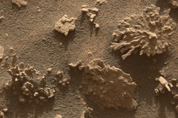 Марсоход Curiosity обнаружил камень, напоминающий коралл Марсоход Curiosity обнаружил камень, напоминающий коралл